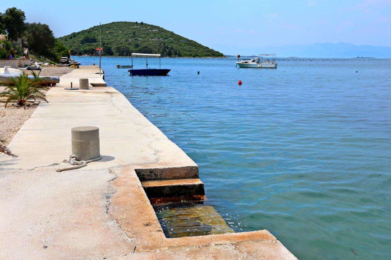 Janjina Apartments By The Sea Luka Dubrava, Peljesac - 4568 מראה חיצוני תמונה
