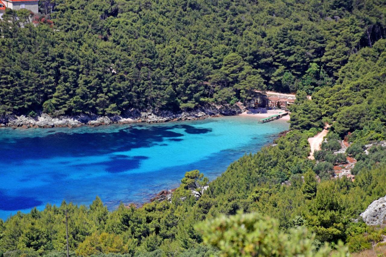 Janjina Apartments By The Sea Luka Dubrava, Peljesac - 4568 מראה חיצוני תמונה